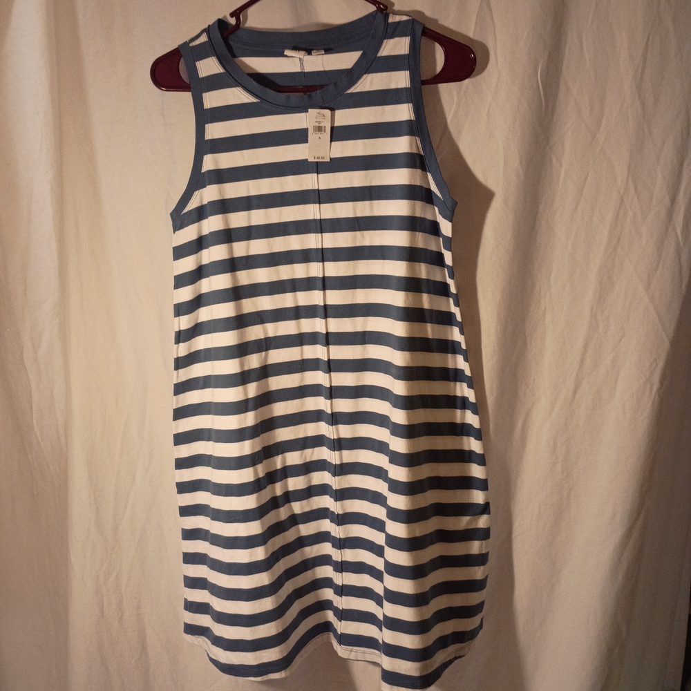 GAP Blue and White Striped Dress